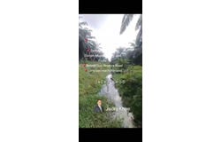 Banting, Selangor 42700