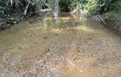 Kuala Kangsar, Perak 31100