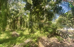 Ayer Baloi, Pontian, Johor 82000