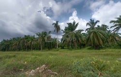 Sabak bernam Sungai besar , Sabak Bernam, Selangor 45300
