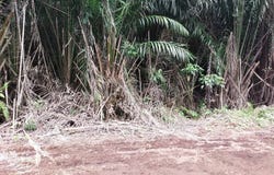 Telok Panglima Garang, Selangor 42500