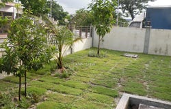 Ipoh, Perak 31650