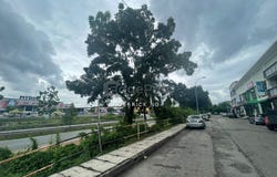 Sungai Petani, Kedah 8000