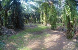 Jugra, Banting, Selangor 42700