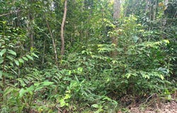 Gerik, Perak 33300