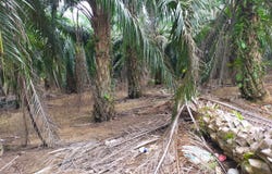 Port Dickson, Negeri Sembilan
