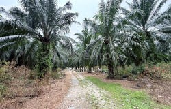 Shah Alam, Selangor 40470