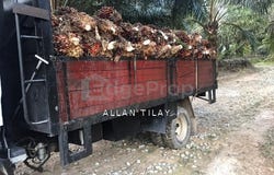 Karak, Pahang 28600