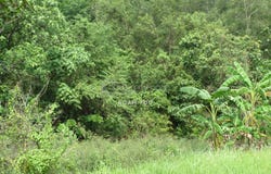 Jalan 6, Ampang, Selangor 68000