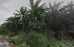 Banting, Selangor 42700
