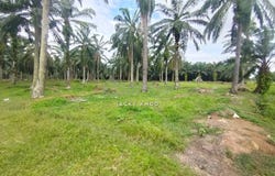 Banting, Selangor 42700