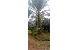 Lipis, Pahang 27200