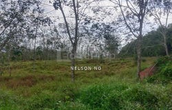 J, Port Dickson, Negeri Sembilan 71250