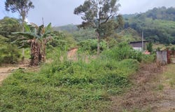 Semenyih, Selangor 43500