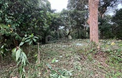 Hulu Langat, Selangor 43100