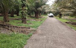 jalan pasar, Jenjarom, Selangor 42600