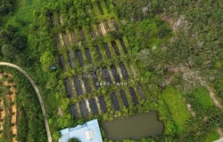 jerlun, Kuala Kangsar, Perak 33000