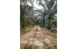 Sepang, Selangor 43900