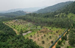Semenyih, Selangor