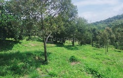 Raub, Pahang 27600