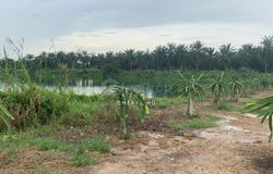 Sepang, Selangor 43900