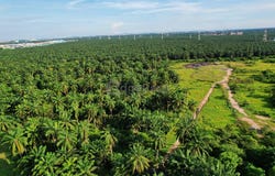 J, Klang, Selangor 41050