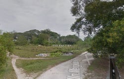 Pusing, Perak 31550