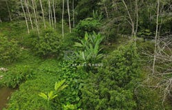 Hulu Perak, Perak 33420