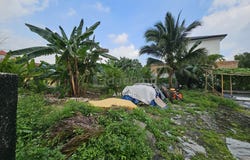 Jalan MP, Sungai Buloh, Selangor 46996
