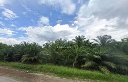 Banting, Selangor 42700