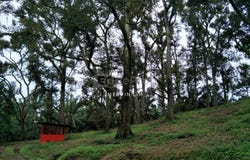 Batu Pahat, Johor Bahru, Batu Pahat, Johor