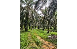 Kota Tinggi, Johor 81900