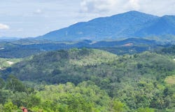 Jalan Kuala Lumpur - Tanjung Malim, Hulu Selangor, Selangor 44000