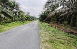 Banting, Selangor 42700