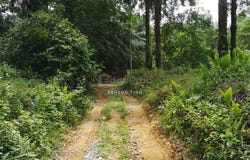 Jalan Pintar, Kajang, Selangor 43000