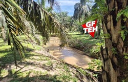 Selama, Perak 0