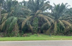 Kluang, Johor 86200