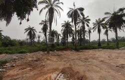 Pontian, Johor 82000