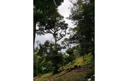 Bentong, Pahang 28700