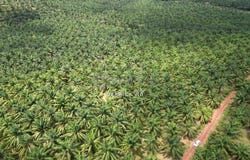 Sungai Petani, Kedah 8010