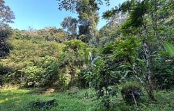 Hulu Langat, Selangor