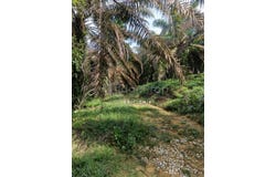 Batang Padang, Perak 35500