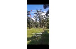 Banting, Selangor 42700