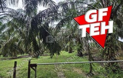 Selama, Perak 0