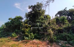 Sungai Petani, Kedah 0
