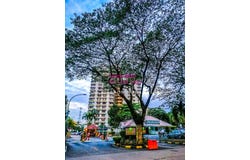 Desa Pandan, Kuala Lumpur 55100