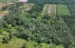 sungai siput, Kuala Kangsar, Perak 31100