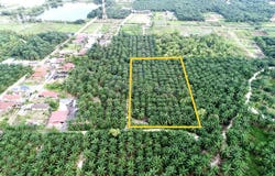 Kuala Langat, Selangor 42700