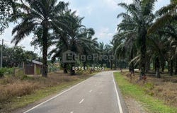 Kluang, Johor 86200