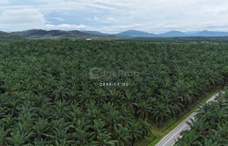 Kuala Muda, Kedah 06720